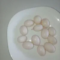 تخم کبوتر