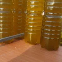 روغن زیتون اصل