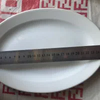 دیس غذاخوری