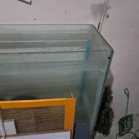 اکواریوم