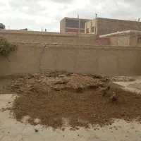 کود گاوی سوخته