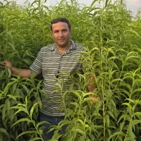 تخفیفات روز درختکاری تا 15اسفند