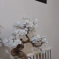 بنجامین مصنوعی