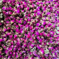 فروش غنچه گل محمدی صادراتی
