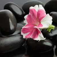 روغن ماساژ،ماساژ