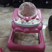 روروک گراکو آمریکایی