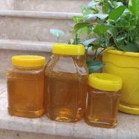 عسل طبیعی بهار طعم واقعی طبیعت
