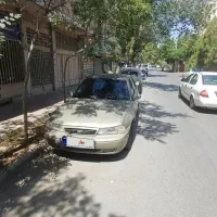 سیلو 81