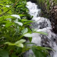 تور یک روزه دره آل