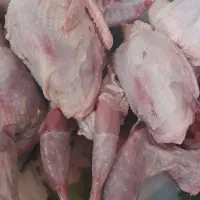 بلدرچین