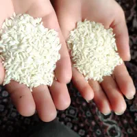 150کیلو برنج درجه یک