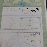 زمین|فروش زمین و ملک کلنگی|مشگین شهر, |دیوار