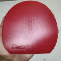 رویه دیگنیکس ۰۹ dignics 09c پینگ پنگ تنیس روی میز