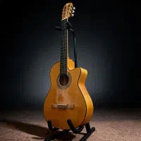 گیتار در حد نو