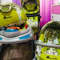 کالسکه و روروئک و کریر دلیجان