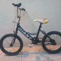 دوچرخه ۱۶ جاینت