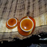 دو عدد نگین کلکسیونی