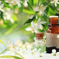 آموزش طب سنتی با مدرک آنلاین در خانه