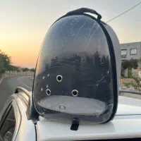 باکس حمل گربه و پرنده