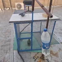 تله پرنده و گربه