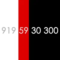 919 رند و مناسب برندینگ 300 30