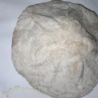 زیورالات