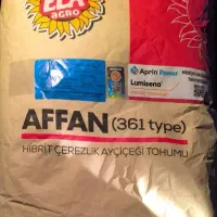 آفتابگردان بذری اردوخانی