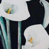 گل شیپوری