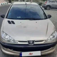 206 اس دی دوگانه شرکتی