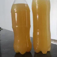 ابغوره  طبیعی بدون افزودن هیچ مواد ی