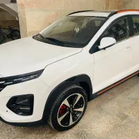 X33 cross