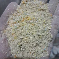 دان مرغی به صورت عمده و خرده