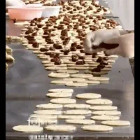 ۳ کیلو کلوچه ۱ نان جو شانتیوم