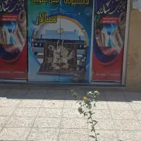 قالیشویی سفر معزی قانعی زیباشهر هجرت ریاستی نصر