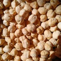 نخود تازه