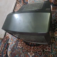 تلویزیون