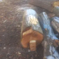 چوب گردو الوار