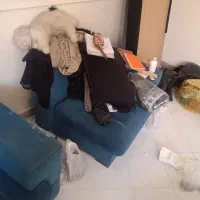 مبل راحتی رایگان