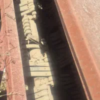 برگ زن چغندر ۳ ردیفه درحد نو خیلی کار نکرده