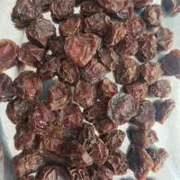 آلوچه های خشک شیرین امسال