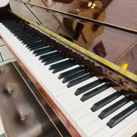 پیانو سوزوکی/یاماها/سمیک/کاوایی/پرل ریور