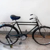 دوچرخه سه مار