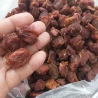 الوبخارا اورگانیک امسال گوشتی کاملا بهداشتی