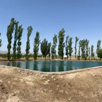 اجاره-زمین-کشاورزی