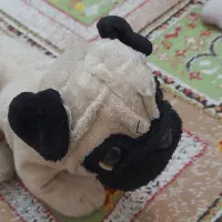 عروسک سگ وخرس