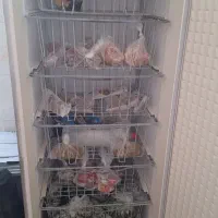 فروش فریزر بدون برفک