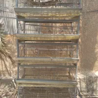 قفس اتوماتیک بلدرچین(پنج طبقه)