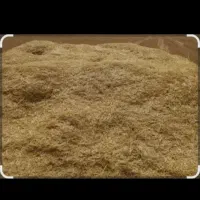 فروش کاه سفید گندمی کاه خوبی