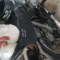خروس