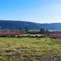 زمین صنعتی. باغی. کارگاهی